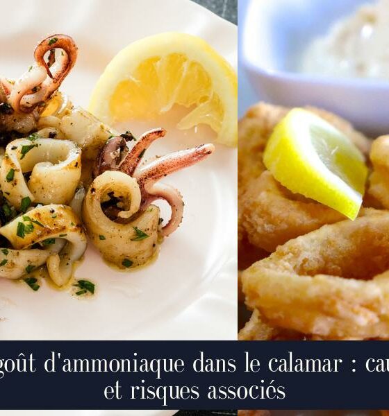Le goût d'ammoniaque dans le calamar : causes et risques associés