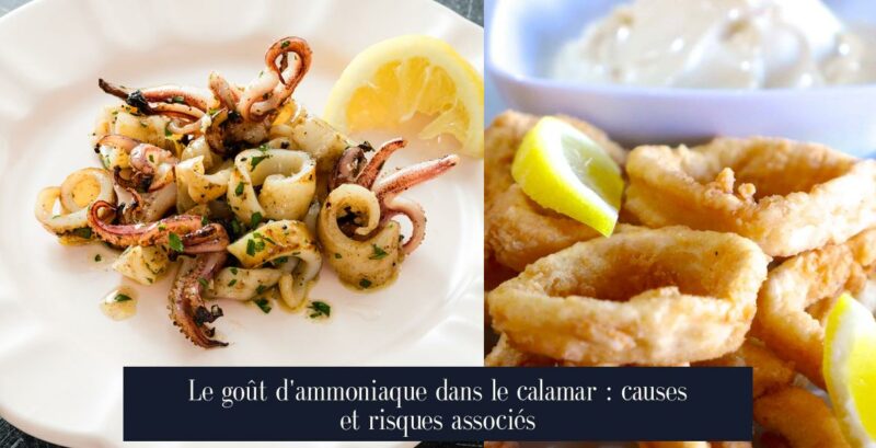 Le goût d'ammoniaque dans le calamar : causes et risques associés