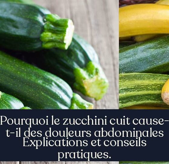 Pourquoi le zucchini cuit cause-t-il des douleurs abdominales Explications et conseils pratiques.