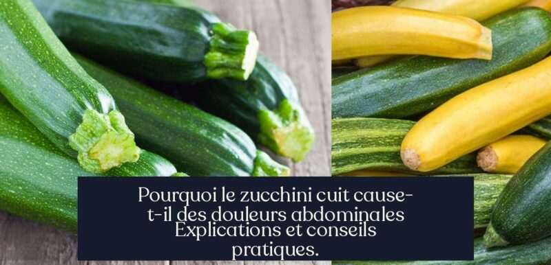 Pourquoi le zucchini cuit cause-t-il des douleurs abdominales Explications et conseils pratiques.