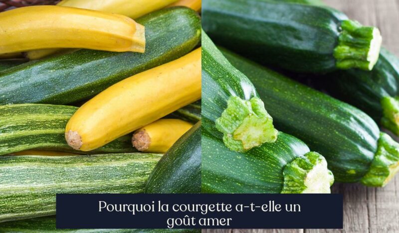 Pourquoi la courgette a-t-elle un goût amer
