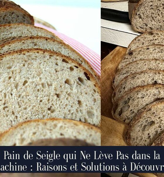 Pain de Seigle qui Ne Lève Pas dans la Machine : Raisons et Solutions à Découvrir