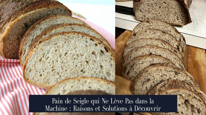 Pain de Seigle qui Ne Lève Pas dans la Machine : Raisons et Solutions à Découvrir