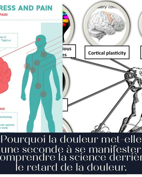 Pourquoi la douleur met-elle une seconde à se manifester Comprendre la science derrière le retard de la douleur.