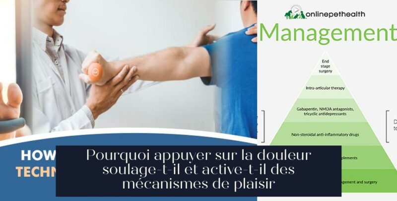 Pourquoi appuyer sur la douleur soulage-t-il et active-t-il des mécanismes de plaisir