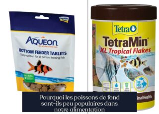 Pourquoi les poissons de fond sont-ils peu populaires dans notre alimentation