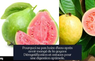 Pourquoi ne pas boire d'eau après avoir mangé de la goyave Démystification et astuces pour une digestion optimale.