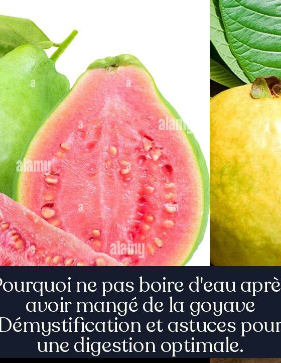 Pourquoi ne pas boire d'eau après avoir mangé de la goyave Démystification et astuces pour une digestion optimale.
