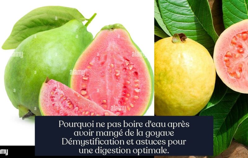 Pourquoi ne pas boire d'eau après avoir mangé de la goyave Démystification et astuces pour une digestion optimale.