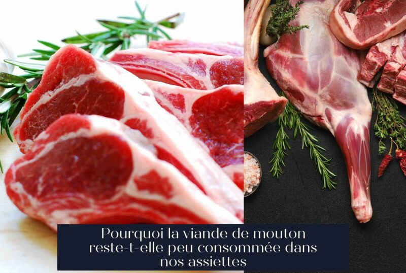 Pourquoi la viande de mouton reste-t-elle peu consommée dans nos assiettes