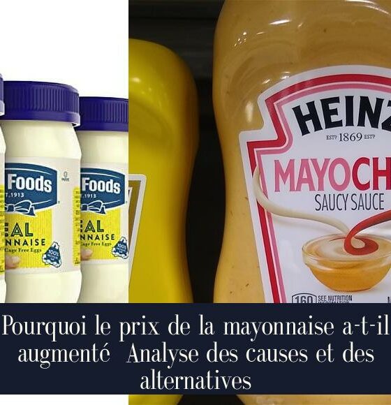 Pourquoi le prix de la mayonnaise a-t-il augmenté Analyse des causes et des alternatives