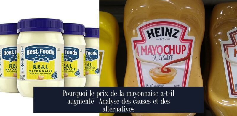 Pourquoi le prix de la mayonnaise a-t-il augmenté Analyse des causes et des alternatives