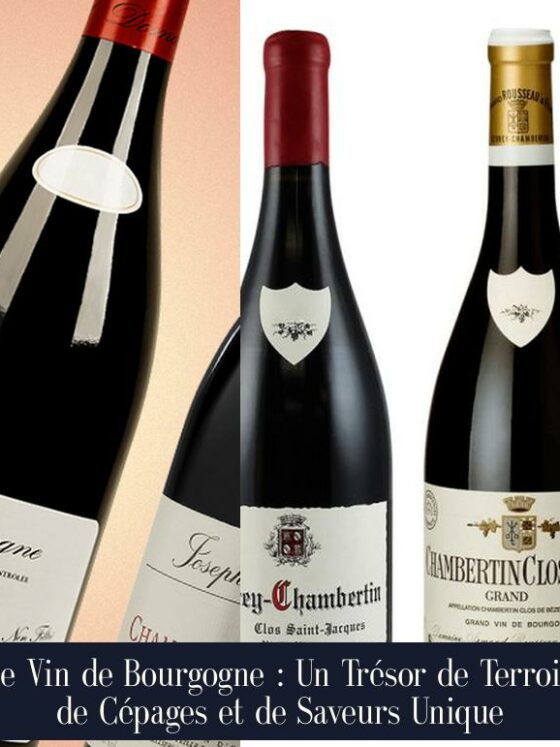 Le Vin de Bourgogne : Un Trésor de Terroir, de Cépages et de Saveurs Unique