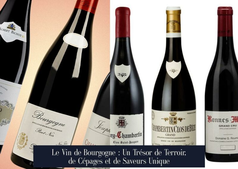 Le Vin de Bourgogne : Un Trésor de Terroir, de Cépages et de Saveurs Unique