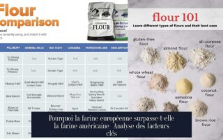 Pourquoi la farine européenne surpasse-t-elle la farine américaine Analyse des facteurs clés