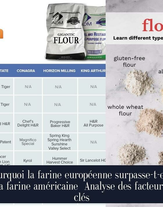 Pourquoi la farine européenne surpasse-t-elle la farine américaine Analyse des facteurs clés