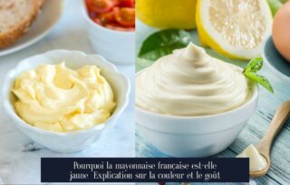 Pourquoi la mayonnaise française est-elle jaune Explication sur la couleur et le goût