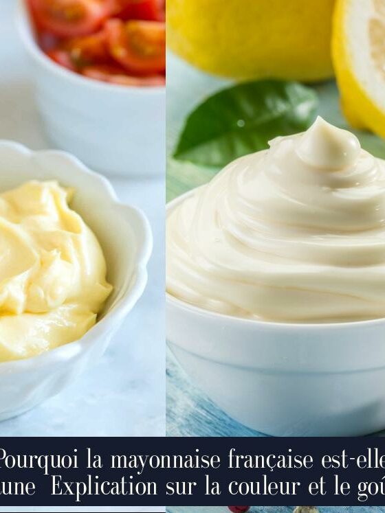 Pourquoi la mayonnaise française est-elle jaune Explication sur la couleur et le goût