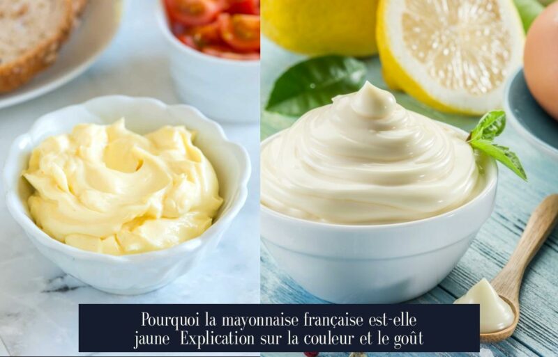 Pourquoi la mayonnaise française est-elle jaune Explication sur la couleur et le goût