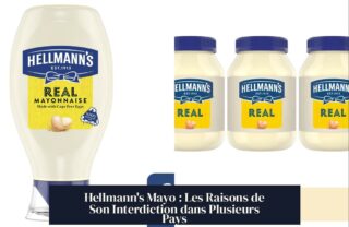 Hellmann's Mayo : Les Raisons de Son Interdiction dans Plusieurs Pays