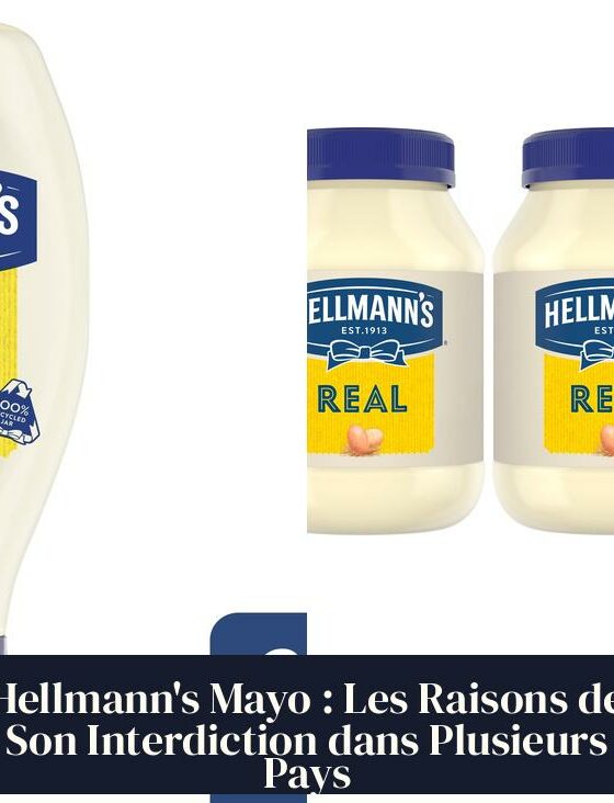 Hellmann's Mayo : Les Raisons de Son Interdiction dans Plusieurs Pays