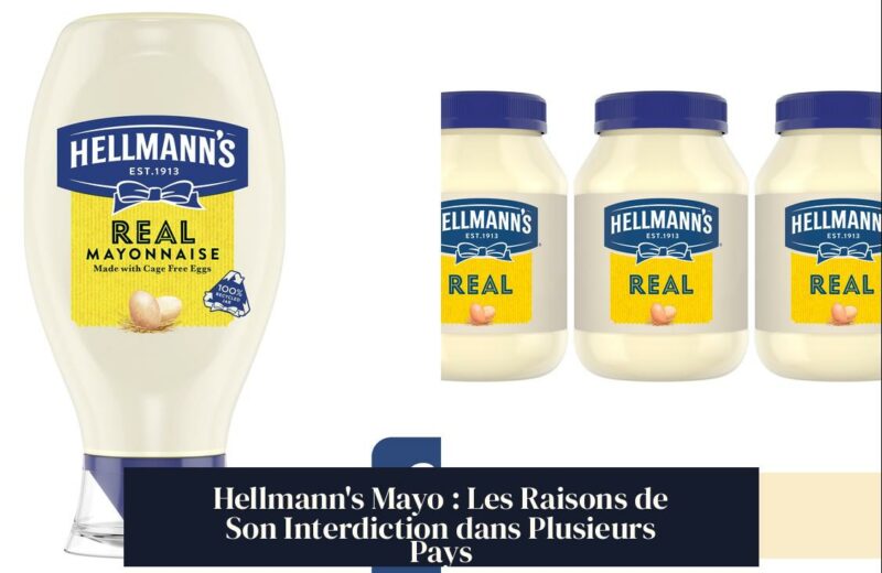 Hellmann's Mayo : Les Raisons de Son Interdiction dans Plusieurs Pays