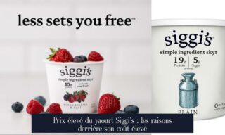 Prix élevé du yaourt Siggi's : les raisons derrière son coût élevé