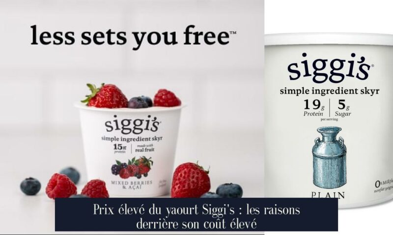 Prix élevé du yaourt Siggi's : les raisons derrière son coût élevé