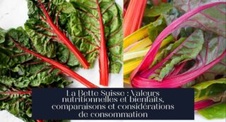 La Bette Suisse : Valeurs nutritionnelles et bienfaits, comparaisons et considérations de consommation