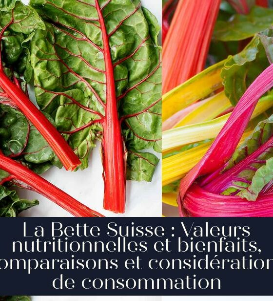 La Bette Suisse : Valeurs nutritionnelles et bienfaits, comparaisons et considérations de consommation