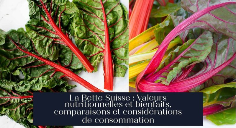 La Bette Suisse : Valeurs nutritionnelles et bienfaits, comparaisons et considérations de consommation