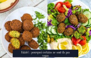 Falafel : pourquoi certains ne sont-ils pas vegan