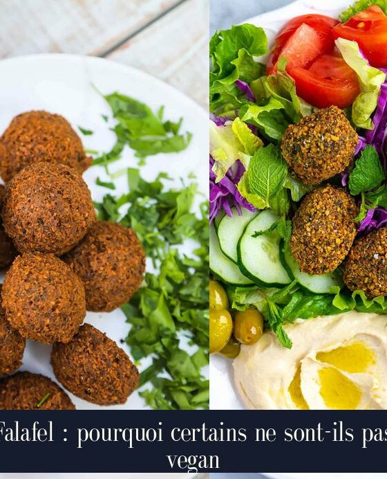 Falafel : pourquoi certains ne sont-ils pas vegan