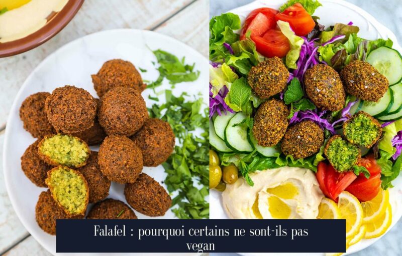 Falafel : pourquoi certains ne sont-ils pas vegan