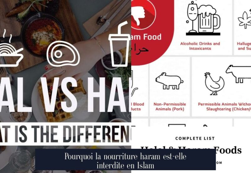 Pourquoi la nourriture haram est-elle interdite en Islam