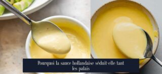 Pourquoi la sauce hollandaise séduit-elle tant les palais