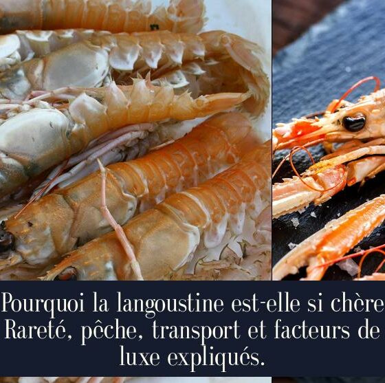 Pourquoi la langoustine est-elle si chère Rareté, pêche, transport et facteurs de luxe expliqués.