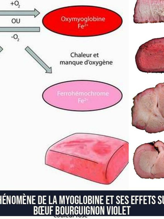 Le phénomène de la myoglobine et ses effets sur le bœuf bourguignon violet