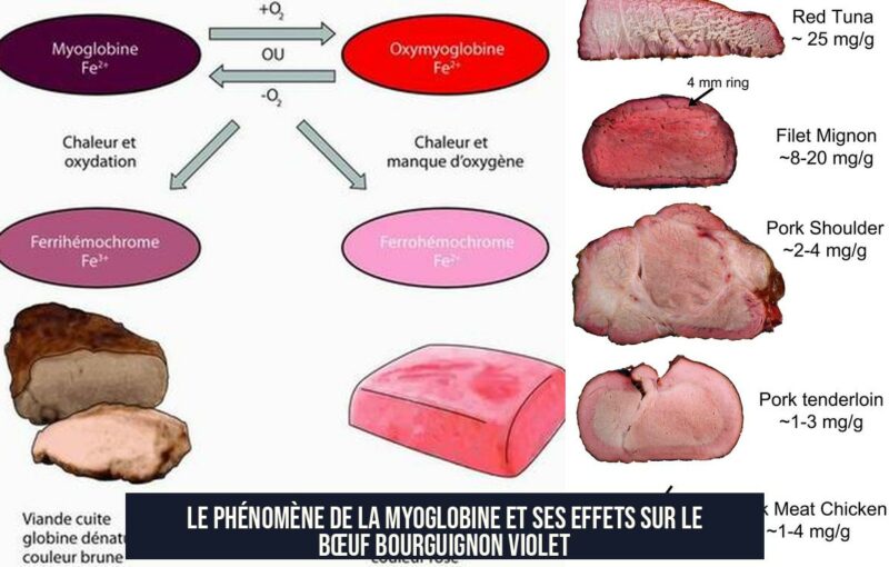 Le phénomène de la myoglobine et ses effets sur le bœuf bourguignon violet