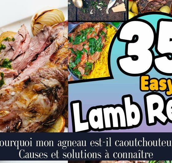 Pourquoi mon agneau est-il caoutchouteux Causes et solutions à connaître