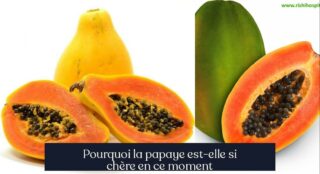 Pourquoi la papaye est-elle si chère en ce moment