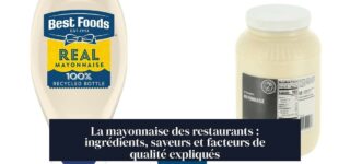 La mayonnaise des restaurants : ingrédients, saveurs et facteurs de qualité expliqués
