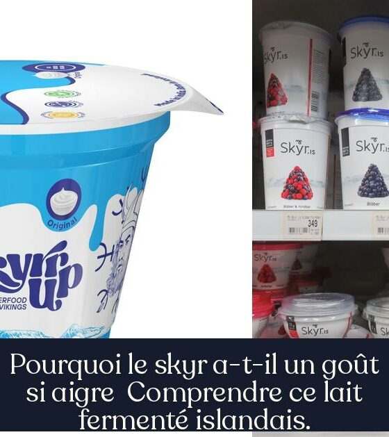 Pourquoi le skyr a-t-il un goût si aigre Comprendre ce lait fermenté islandais.
