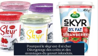 Pourquoi le skyr est-il si cher Décryptage des coûts et des avantages du yaourt islandais.