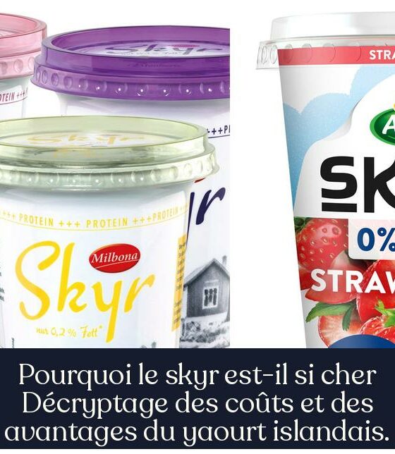 Pourquoi le skyr est-il si cher Décryptage des coûts et des avantages du yaourt islandais.