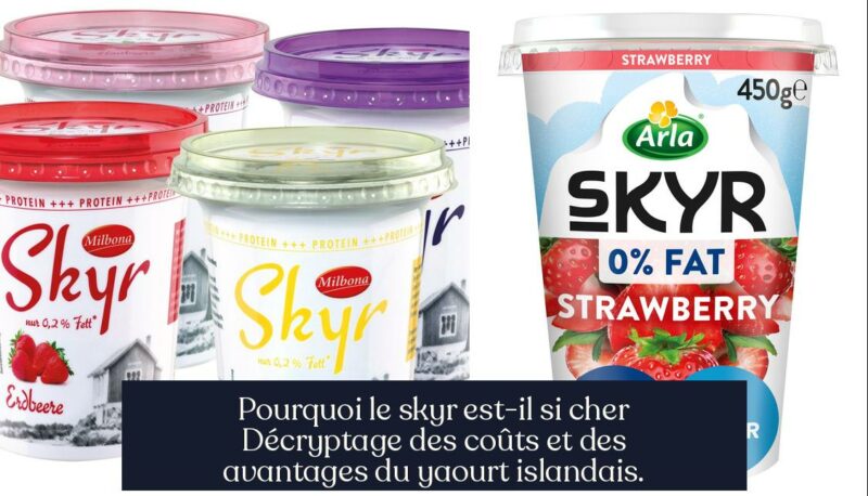 Pourquoi le skyr est-il si cher Décryptage des coûts et des avantages du yaourt islandais.