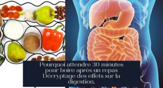 Pourquoi attendre 30 minutes pour boire après un repas Décryptage des effets sur la digestion.