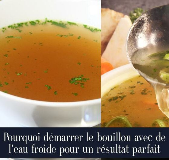 Pourquoi démarrer le bouillon avec de l'eau froide pour un résultat parfait