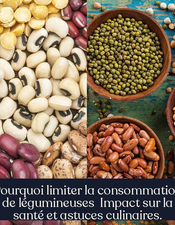 Pourquoi limiter la consommation de légumineuses Impact sur la santé et astuces culinaires.