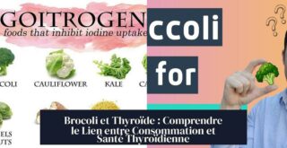 Brocoli et Thyroïde : Comprendre le Lien entre Consommation et Santé Thyroïdienne